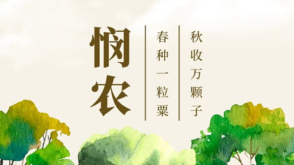 貫徹落實中央一號文件，“我”可以扮演哪些角色？(圖1)