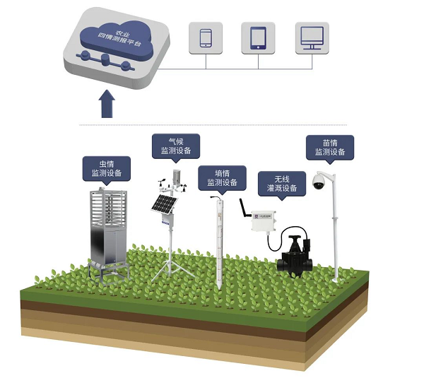 貫徹落實中央一號文件，“我”可以扮演哪些角色？(圖5)