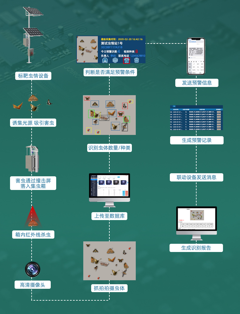 標靶蟲情監測(圖6)